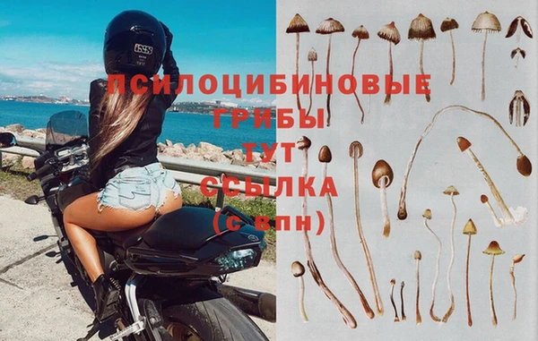 бошки Алексеевка