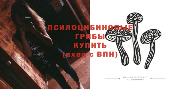 тгк Алзамай
