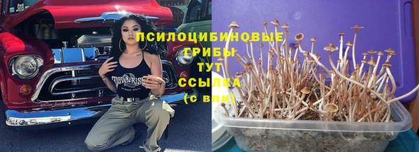 прущая мука Алексин